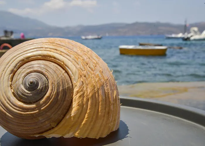 Boucaporta Sirma Apartamento