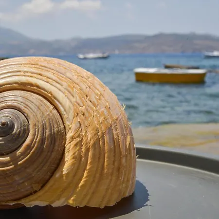 Boucaporta Sirma Apartment